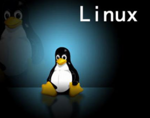 Linux就该这么学（第15与16期）