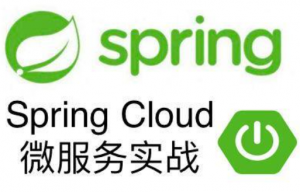 【java1234】Spring Cloud视频教程