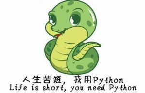 零基础从入门到精通学习Python