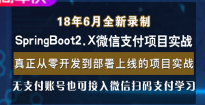 Spring Boot 2.x整合微信支付在线教育网站高级项目实战视频课程