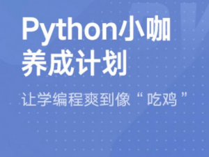 Python小咖养成计划