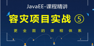 JavaEE精讲之容灾项目实战视频课程