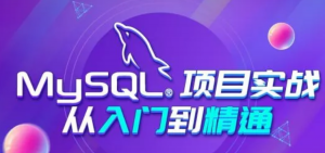 MySQL项目实战企业级数据库课程