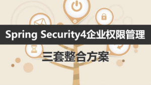 Spring Security4企业权限管理视频教程