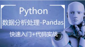 大数据 Python数据分析处理库-pandas实战视频课程