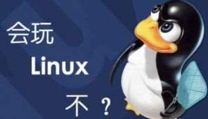 2019最新老男孩linux深圳脱产班1期