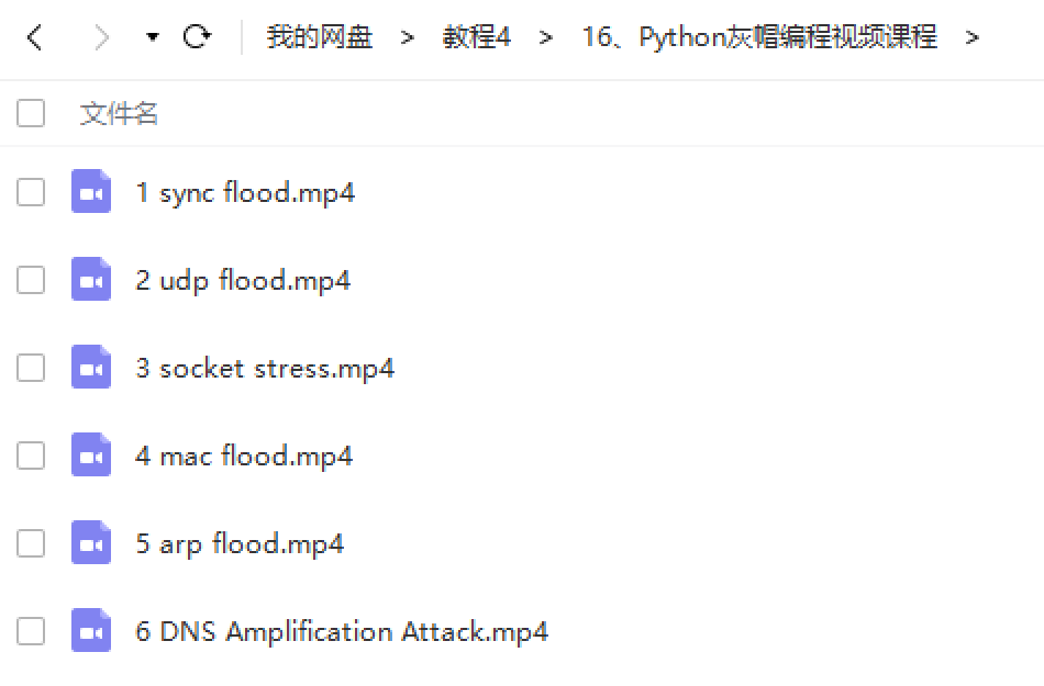 Python灰帽编程视频课程