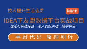 徐培成大数据分析案例：6天IDEA下友盟数据平台实战项目