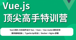 Vue.js顶尖高手特训营