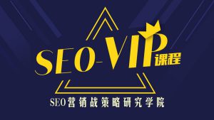 SEO到底咋做？搜索引擎优化总监实战VIP课堂【透析2019最新案例】