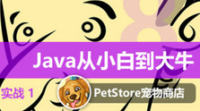 Java从小白到大牛项目：宠物商店