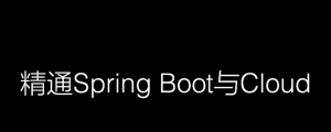 圣s园-精通Spring Boot/Cloud