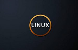 新盟教育-Linux运维班（2019年5月）