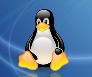 Linux编程Shell从入门到精通视频教程