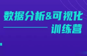 数据分析 数据可视化核心大师训练营