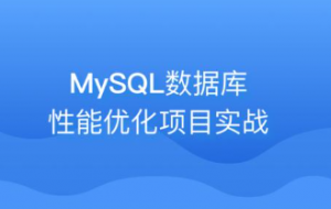 Mysql性能优化–索引优化 ( 索引不再是黑盒子 )