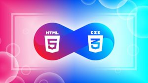 使用 HTML、CSS 开发一个网站