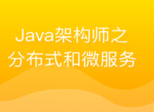 Java架构师之分布式和微服务开发实践