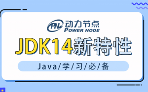 2020年最新 JDK14新特新课程