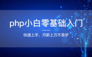 PHP从小白到高手系列课程