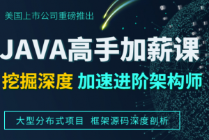 Java高手加薪课程2020期