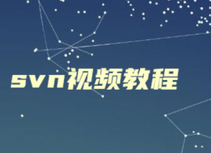 svn视频教程（无废话版）