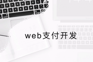 2020最新 常用Web支付开发讲解（支付宝支付和微信支付）