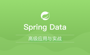 Spring Data应用与实战