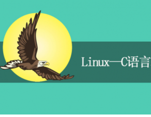 Linux系统C语言编程基础视频课程