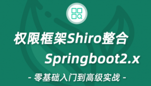 2020年Shiro教程Shiro视频教程