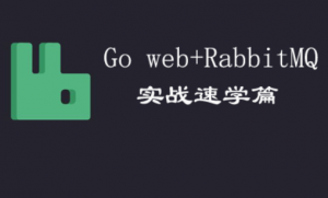 go web+RabbitMQ实战速学篇 视频教程