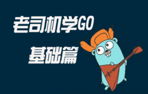 老司机学Go之基础速学篇