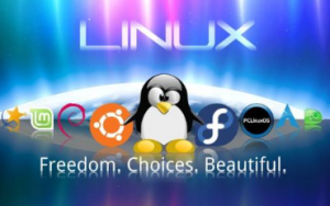 Linux系统及网络编程视频课程专题