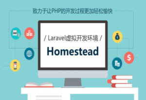 Homestead 简单功能丰富的开发环境 课程