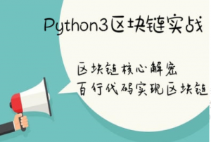 Python实现自己的分布式区块链视频教程