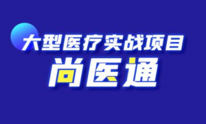 Java微服务+分布式+全栈项目【尚医通】