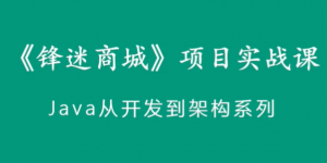 全网最强电商项目教程（锋迷商城）对标阿里P7/P8（更新完毕）