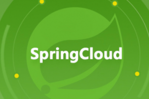 2021年最新SpringCloud微服务实战教程