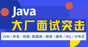 Java大厂面试突击课程