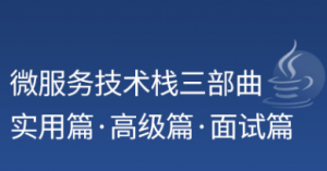 微服务技术全栈教程SpringCloud+Elasticsearch+分布式系统（高级篇）