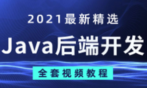 2021年S硅谷Java后端|2021年11月结课