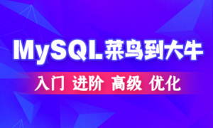 MySQL数据库（入门到高级，菜鸟到大牛）