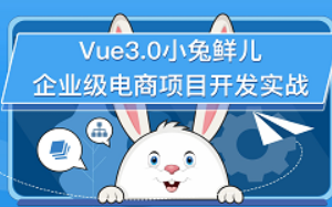 Vue3.0小兔鲜企业级电商平台项目实战