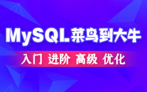 MySQL数据库（入门到高级，菜鸟到大牛）