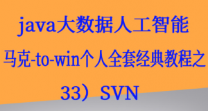 Java大数据全套教材（33）SVN