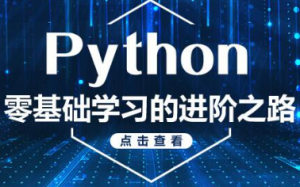 最新快速入门Python基础精讲（完整课件资料）