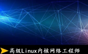 高级Linux内核网络工程师