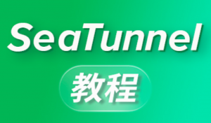 大数据技术之SeaTunnel（从入门到成为源码贡献者)