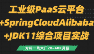 PaaS云平台 SpringCloudAlibaba+JDK11综合项目实战|小D课堂