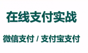 Java在线支付实战-微信&支付宝支付|2022